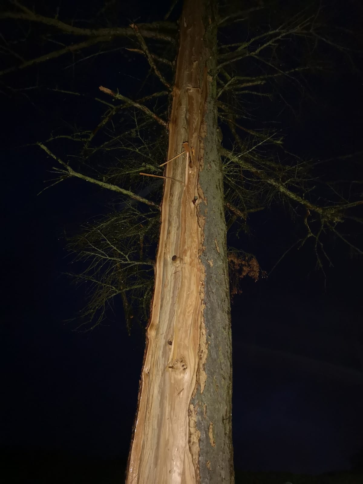 sturmschaden_07082019_4