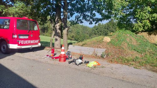 basiswissen_herbst26 (25)