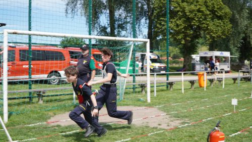 bfkdo17_060620265