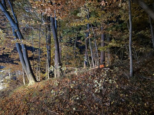 lkw_bergung30102025 (3)