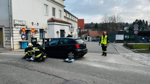 pkw_bergung_150326 (6)