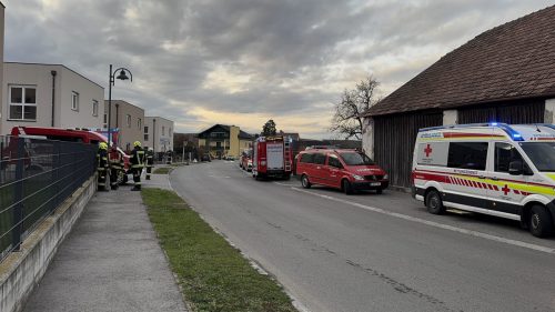 schadstoff_111125 (4)